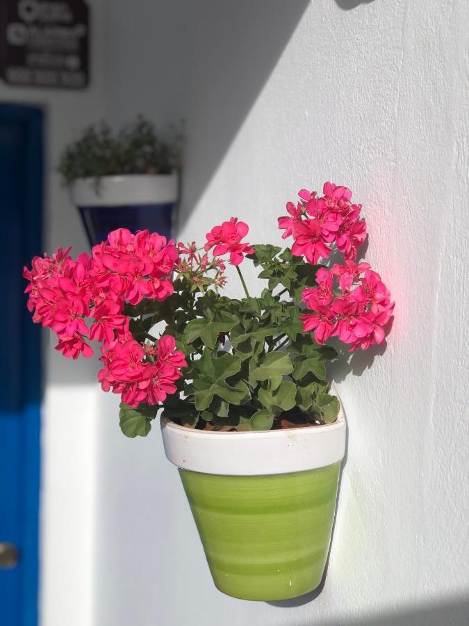 Appartement Isleta 5 à La Isleta del Moro Extérieur photo